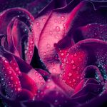 shutterstock_174793862